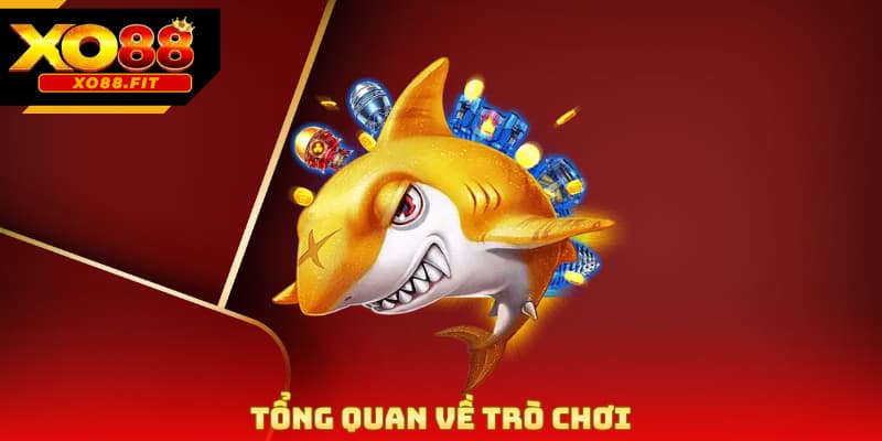 Tổng quan về trò chơi