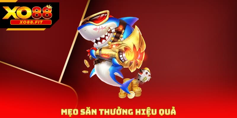 Mẹo săn thưởng hiệu quả