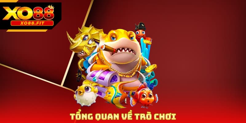 Tổng quan về trò chơi
