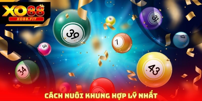 Cách nuôi khung hợp lý nhất