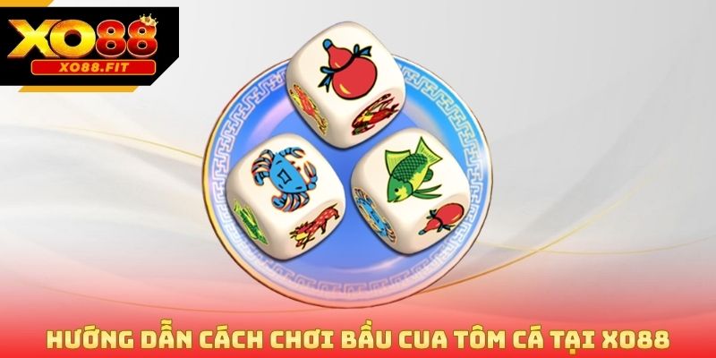 Hướng dẫn chi tiết cách chơi bầu cua tôm cá tại Xo88