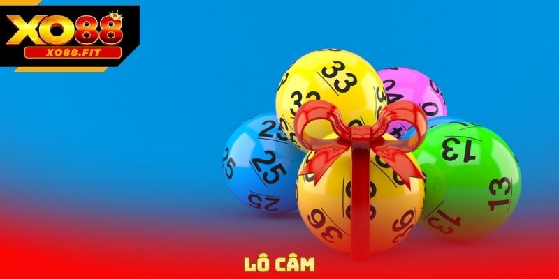 Lô Câm
