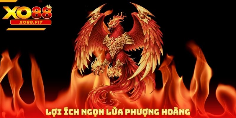 Lợi ích ngọn lửa phượng hoàng