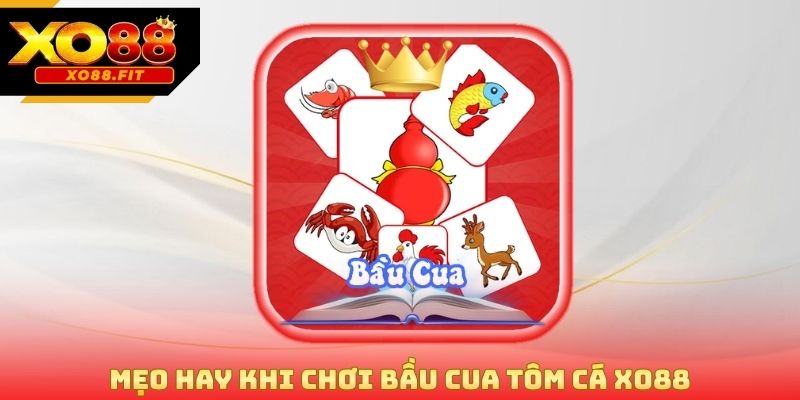 Mẹo hay khi chơi bầu cua tôm cá Xo88