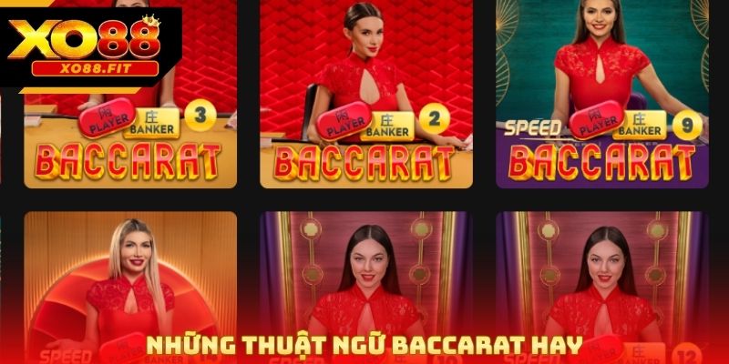 Những thuật ngữ baccarat hay